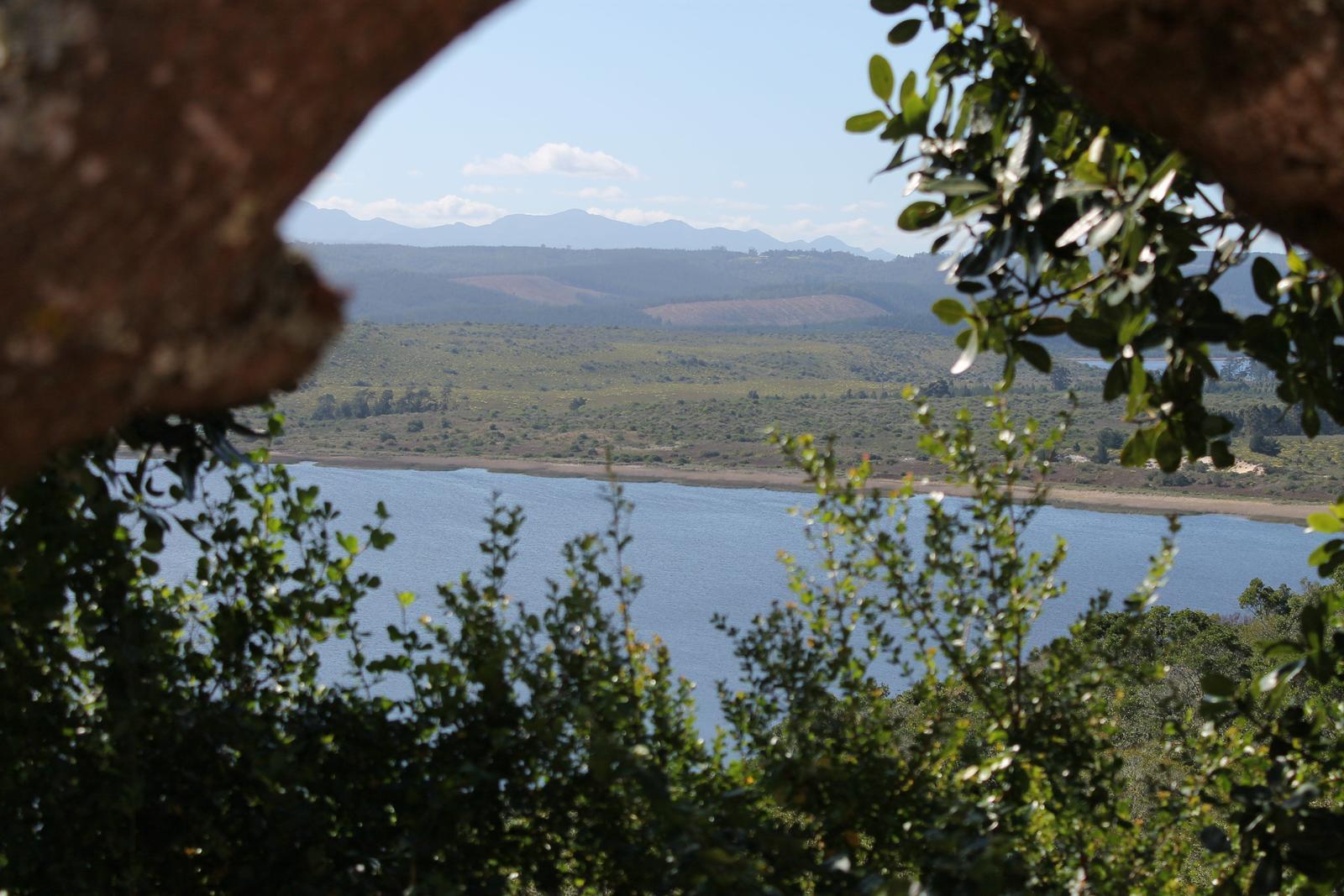 Villa Eagles Nest Sedgefield Esterno foto
